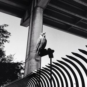 Image post by @bryanexplosion on Instagram