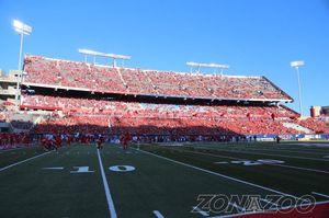 Image post by @zonazooofficial on Instagram