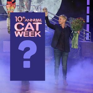 Image post by @ellendegeneres on Instagram