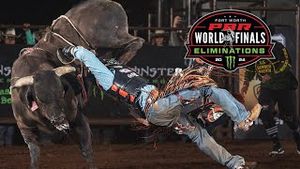 Video post by @pbr on YouTube