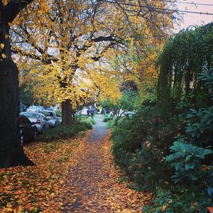Image post by @seattleu on Instagram