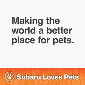 Image post by @mccarthysubaru on Instagram