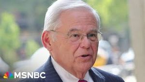 Video post by @msnbc on YouTube