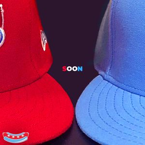 Image post by @thechicagodogs on Instagram