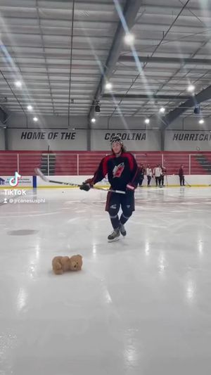 Video post by @jrcanesusphl on Instagram