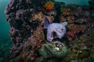 Image post by @natgeo on Instagram