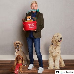 Image post by @ellendegeneres on Instagram