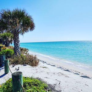Image post by @visitsarasotacounty on Instagram
