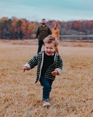 Image post by @thebronzeowl on Instagram