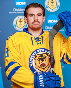 Image post by @usphlhockey on Instagram