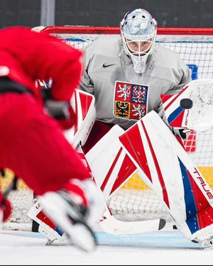 Image post by @truelefevre_goalie on Instagram