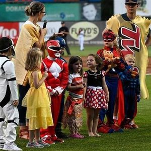 Image post by @burlington_bees on Instagram