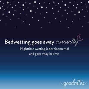 Image post by @goodnites on Instagram