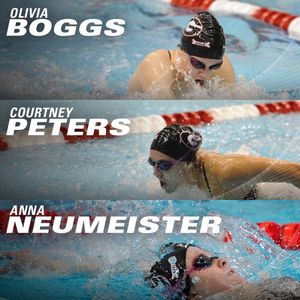 Image post by @ugaswimdive on Instagram