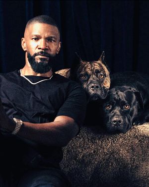 Image post by @iamjamiefoxx on Instagram