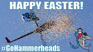 Image post by @gohammerheads on Instagram