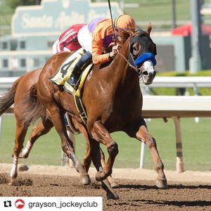 Image post by @spendthriftfarm on Instagram