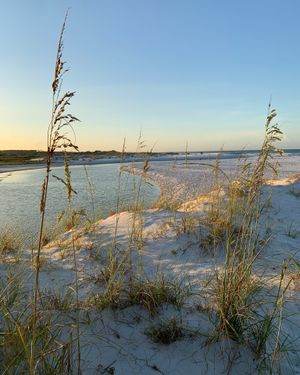 Image post by @southwalton on Instagram