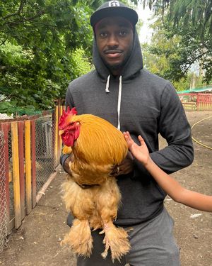 Image post by @rgiii on Instagram