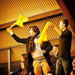 Image post by @gosuffolkrams on Instagram