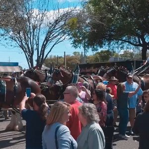 Video post by @HomeOfBud on Facebook