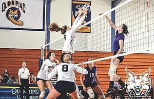 Image post by @qu_wvb on Instagram