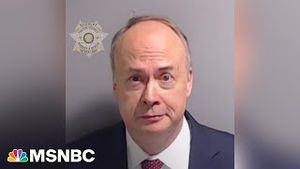 Video post by @msnbc on YouTube