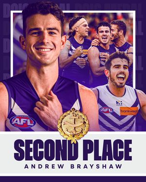 Image post by @freodockers on Instagram