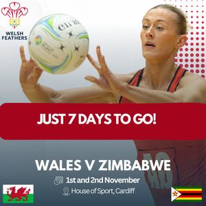 Image post by @walesnetball_ on Instagram