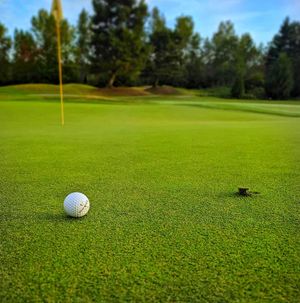 Image post by @wilsongolfcanada on Instagram