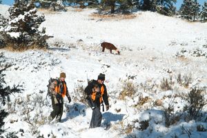 Image post by @meateater on Instagram