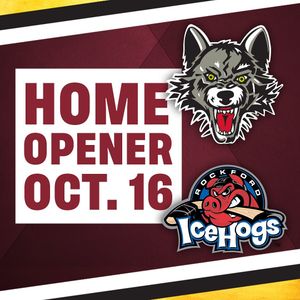 Image post by @chicagowolves on Instagram