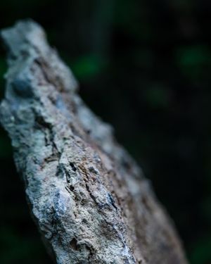 Image post by @jackportunephotography on Instagram