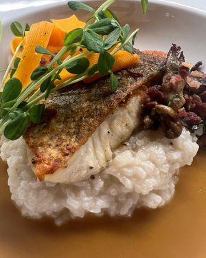 Image post by @tailorandcook on Instagram