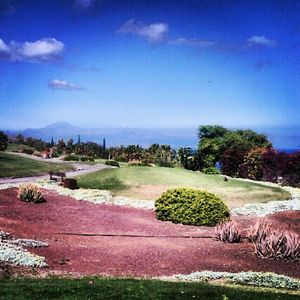 Image post by @sebasgarciagolf on Instagram