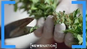 Video post by @newsnation on YouTube