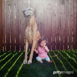 Image post by @gettyimages on Instagram