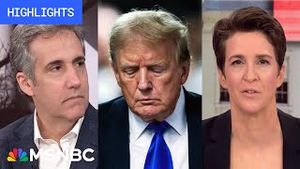 Video post by @msnbc on YouTube