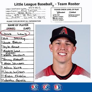 Image post by @littleleague on Instagram