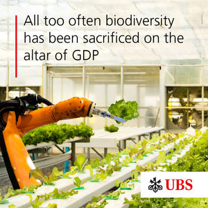 Image post by @ubs on Instagram