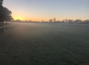 Image post by @australianturfclub on Instagram