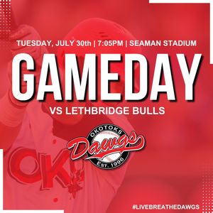 Image post by @okotoksdawgs on Instagram