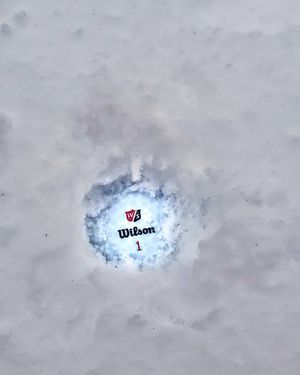 Image post by @wilsongolfcanada on Instagram