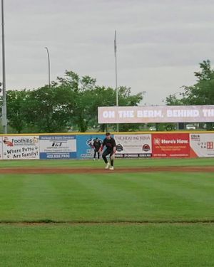 Image post by @okotoksdawgs on Instagram