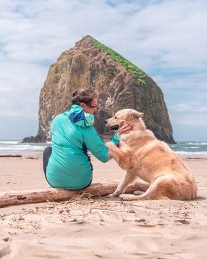 Image post by @triumphpetfood on Instagram