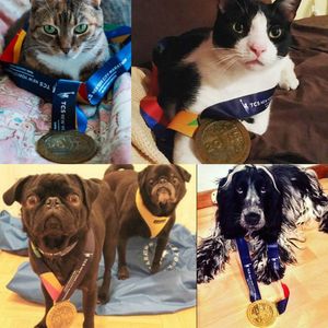 Image post by @nycmarathon on Instagram
