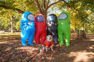 Image post by @VanderbiltU on Twitter