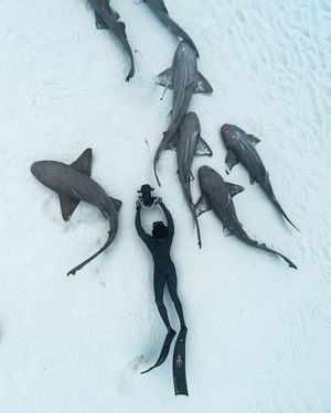 Image post by @discovery on Instagram