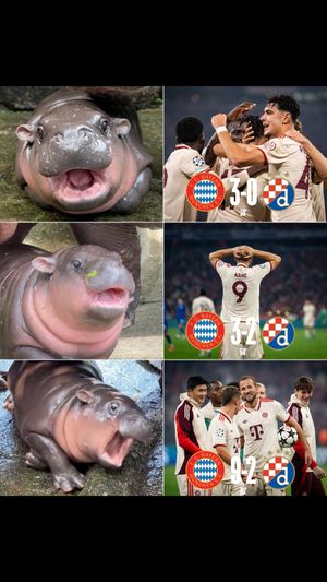 Video post by @fcbayern on TikTok