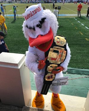 Image post by @um_sebastian on Instagram